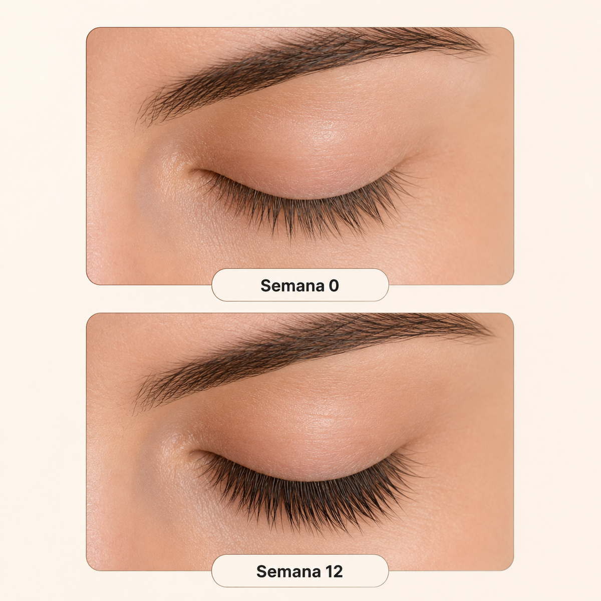 MIRELASH Serum De Pestañas