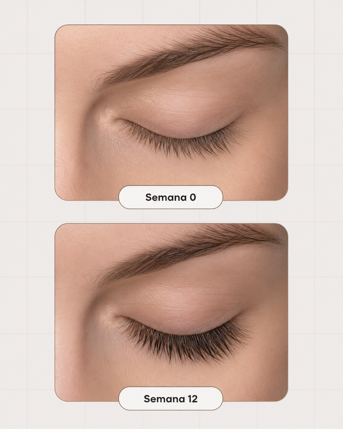MIRELASH Lash Growth Serum